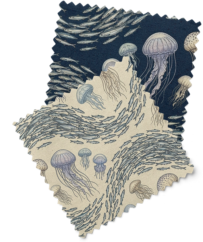 jelly2