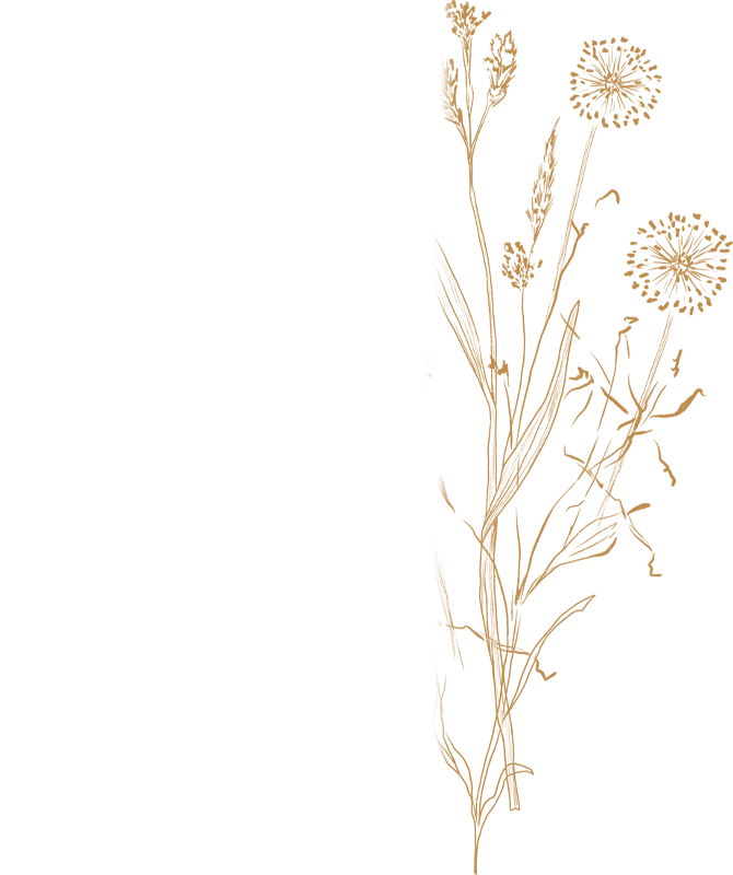 floral element 4